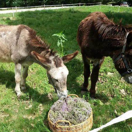 Le Cote D'elle Niozelles